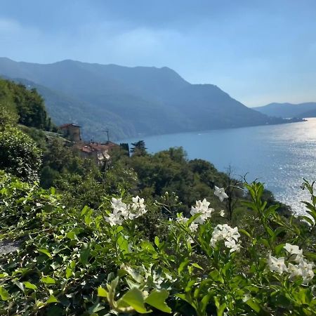 Apartment Casa Dono Il Lago Pognana Lario Exterior foto